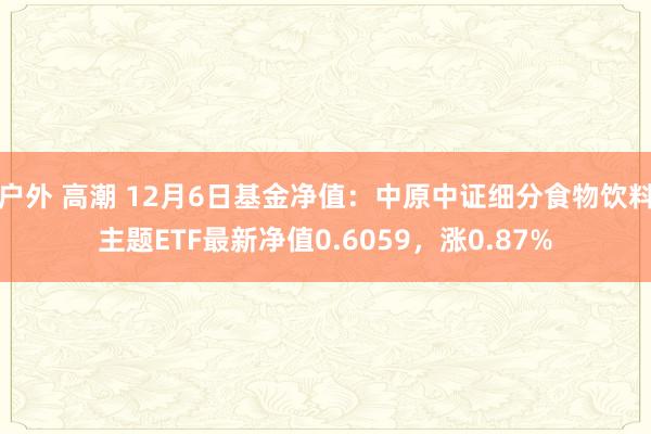 户外 高潮 12月6日基金净值：中原中证细分食物饮料主题ETF最新净值0.6059，涨0.87%