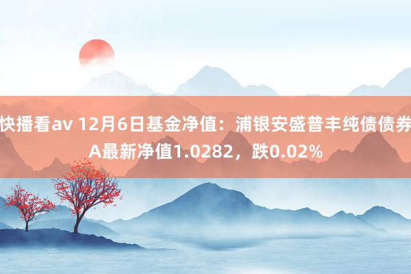 快播看av 12月6日基金净值：浦银安盛普丰纯债债券A最新净值1.0282，跌0.02%