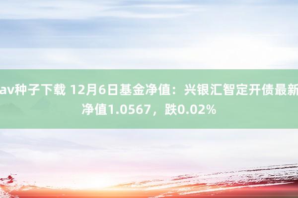 av种子下载 12月6日基金净值：兴银汇智定开债最新净值1.0567，跌0.02%