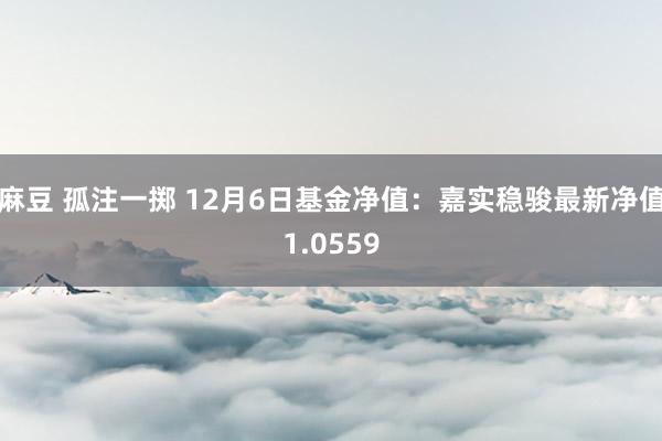 麻豆 孤注一掷 12月6日基金净值：嘉实稳骏最新净值1.0559