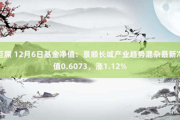 巨屌 12月6日基金净值：景顺长城产业趋势混杂最新净值0.6073，涨1.12%