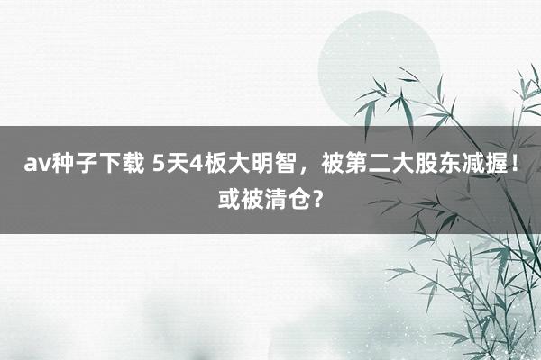 av种子下载 5天4板大明智，被第二大股东减握！或被清仓？