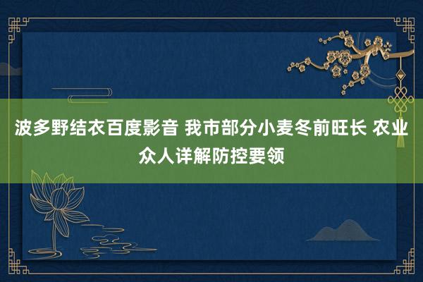 波多野结衣百度影音 我市部分小麦冬前旺长 农业众人详解防控要领