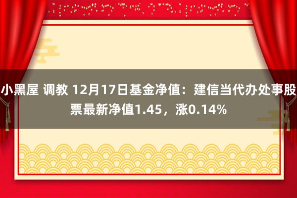 小黑屋 调教 12月17日基金净值：建信当代办处事股票最新净值1.45，涨0.14%