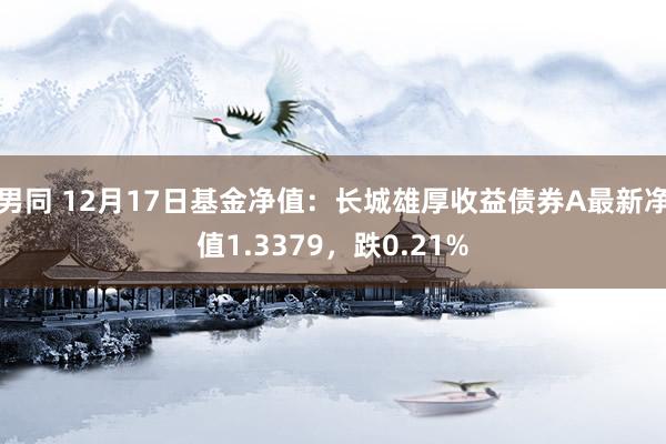 男同 12月17日基金净值：长城雄厚收益债券A最新净值1.3379，跌0.21%