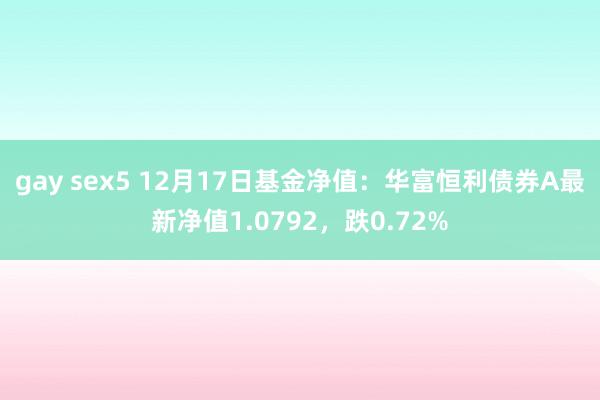 gay sex5 12月17日基金净值：华富恒利债券A最新净值1.0792，跌0.72%