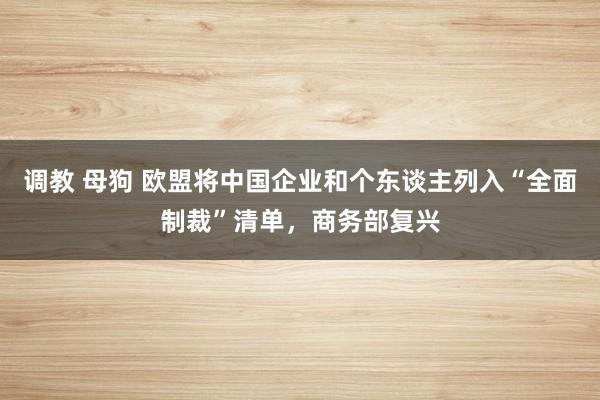 调教 母狗 欧盟将中国企业和个东谈主列入“全面制裁”清单，商务部复兴