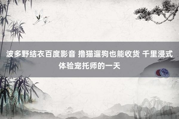 波多野结衣百度影音 撸猫遛狗也能收货 千里浸式体验宠托师的一天