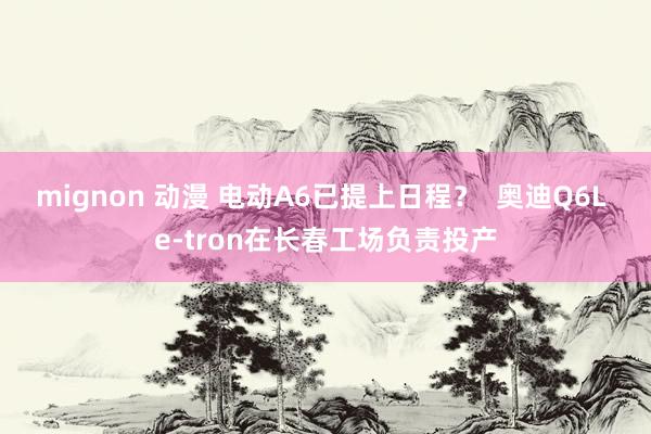 mignon 动漫 电动A6已提上日程？  奥迪Q6L e-tron在长春工场负责投产