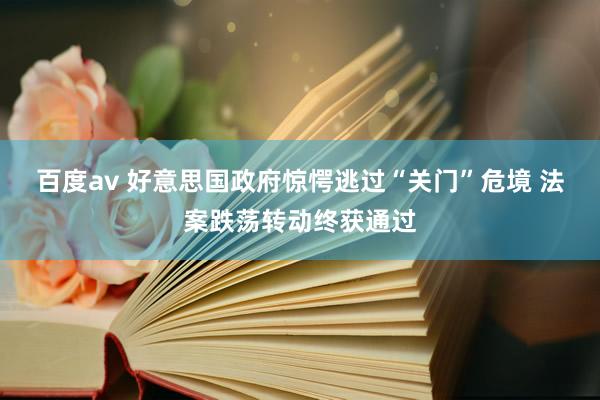 百度av 好意思国政府惊愕逃过“关门”危境 法案跌荡转动终获通过