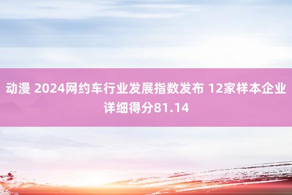 动漫 2024网约车行业发展指数发布 12家样本企业详细得分81.14