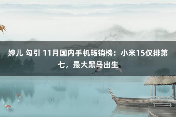 婷儿 勾引 11月国内手机畅销榜：小米15仅排第七，最大黑马出生