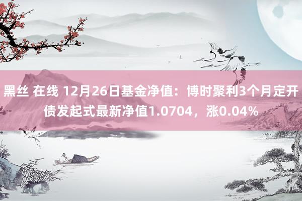 黑丝 在线 12月26日基金净值：博时聚利3个月定开债发起式最新净值1.0704，涨0.04%