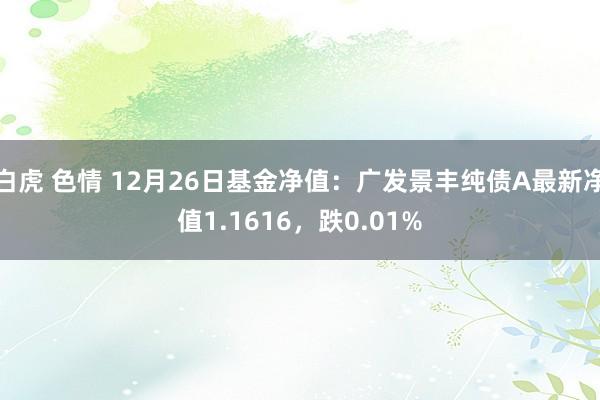 白虎 色情 12月26日基金净值：广发景丰纯债A最新净值1.1616，跌0.01%