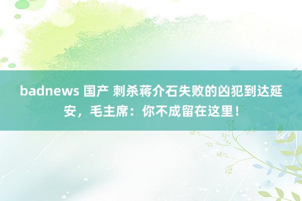 badnews 国产 刺杀蒋介石失败的凶犯到达延安，毛主席：你不成留在这里！