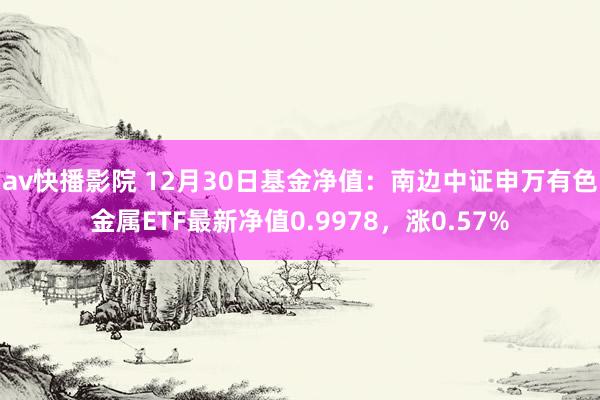 av快播影院 12月30日基金净值：南边中证申万有色金属ETF最新净值0.9978，涨0.57%