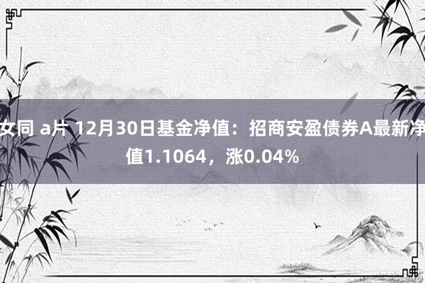 女同 a片 12月30日基金净值：招商安盈债券A最新净值1.1064，涨0.04%