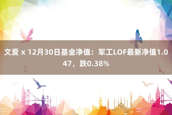 文爱 x 12月30日基金净值：军工LOF最新净值1.047，跌0.38%