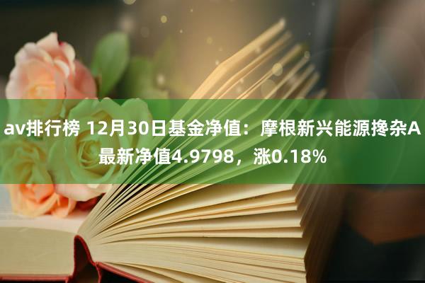 av排行榜 12月30日基金净值：摩根新兴能源搀杂A最新净值4.9798，涨0.18%