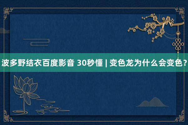 波多野结衣百度影音 30秒懂 | 变色龙为什么会变色？