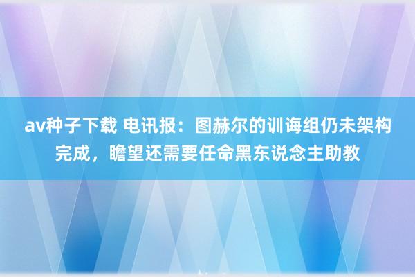 av种子下载 电讯报：图赫尔的训诲组仍未架构完成，瞻望还需要任命黑东说念主助教