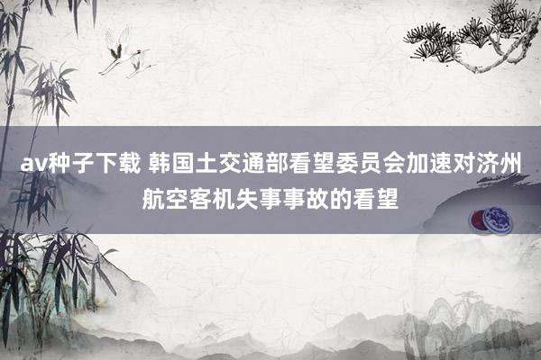 av种子下载 韩国土交通部看望委员会加速对济州航空客机失事事故的看望