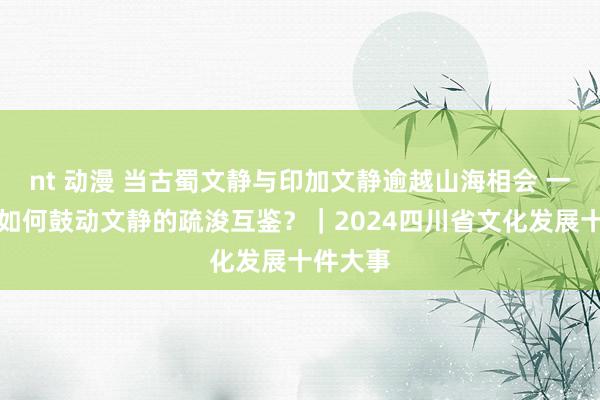 nt 动漫 当古蜀文静与印加文静逾越山海相会 一场展览如何鼓动文静的疏浚互鉴？｜2024四川省文化发展十件大事