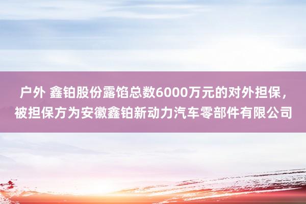 户外 鑫铂股份露馅总数6000万元的对外担保，被担保方为安徽鑫铂新动力汽车零部件有限公司