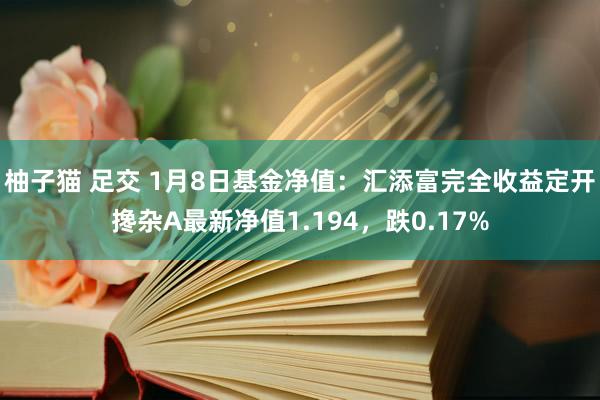 柚子猫 足交 1月8日基金净值：汇添富完全收益定开搀杂A最新净值1.194，跌0.17%