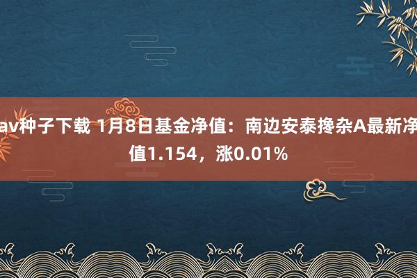 av种子下载 1月8日基金净值：南边安泰搀杂A最新净值1.154，涨0.01%