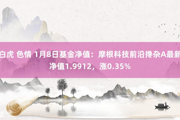 白虎 色情 1月8日基金净值：摩根科技前沿搀杂A最新净值1.9912，涨0.35%