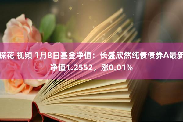 探花 视频 1月8日基金净值：长盛欣然纯债债券A最新净值1.2552，涨0.01%