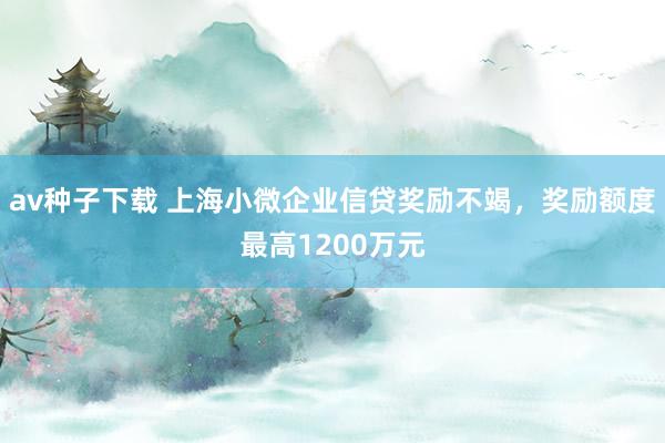 av种子下载 上海小微企业信贷奖励不竭，奖励额度最高1200万元