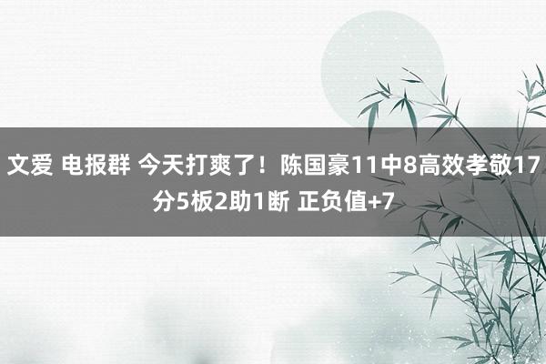 文爱 电报群 今天打爽了！陈国豪11中8高效孝敬17分5板2助1断 正负值+7