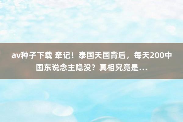 av种子下载 牵记！泰国天国背后，每天200中国东说念主隐没？真相究竟是…