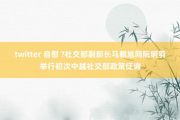 twitter 自慰 ?社交部副部长马朝旭同阮明羽举行初次中越社交部政策征询